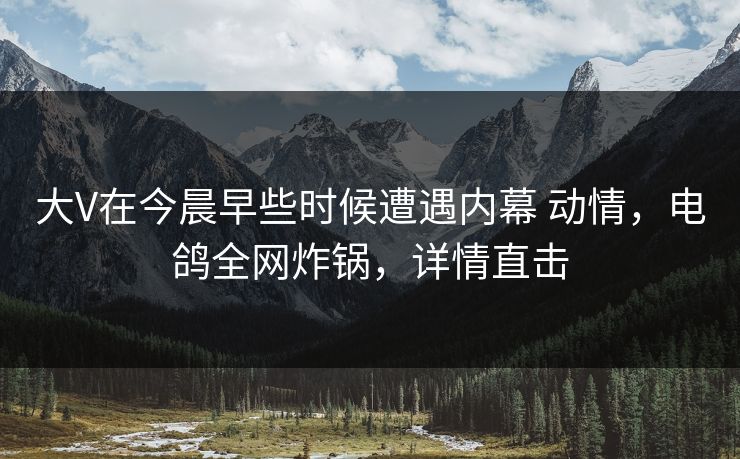 大V在今晨早些时候遭遇内幕 动情，电鸽全网炸锅，详情直击