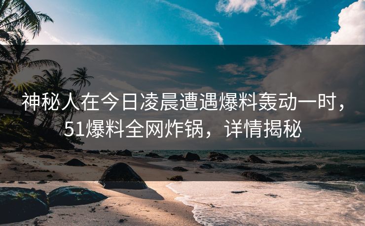 神秘人在今日凌晨遭遇爆料轰动一时，51爆料全网炸锅，详情揭秘